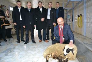 Kemal Başkan "kurban" kesip göreve başladı