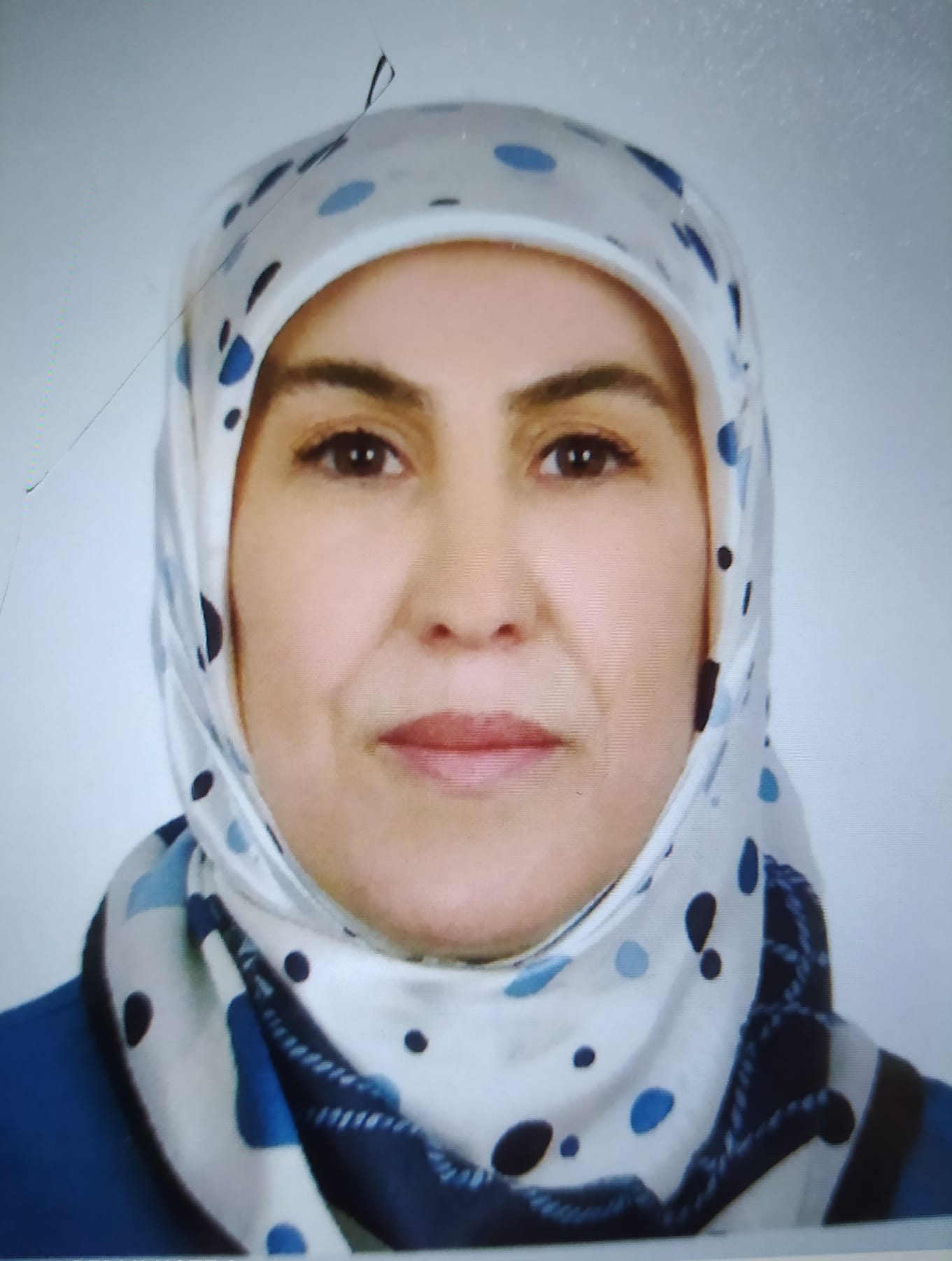 hamiyet-bilgici